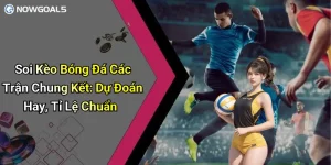 Soi Kèo Bóng Đá Các Trận Chung Kết: Dự Đoán Hay, Tỉ Lệ Chuẩn