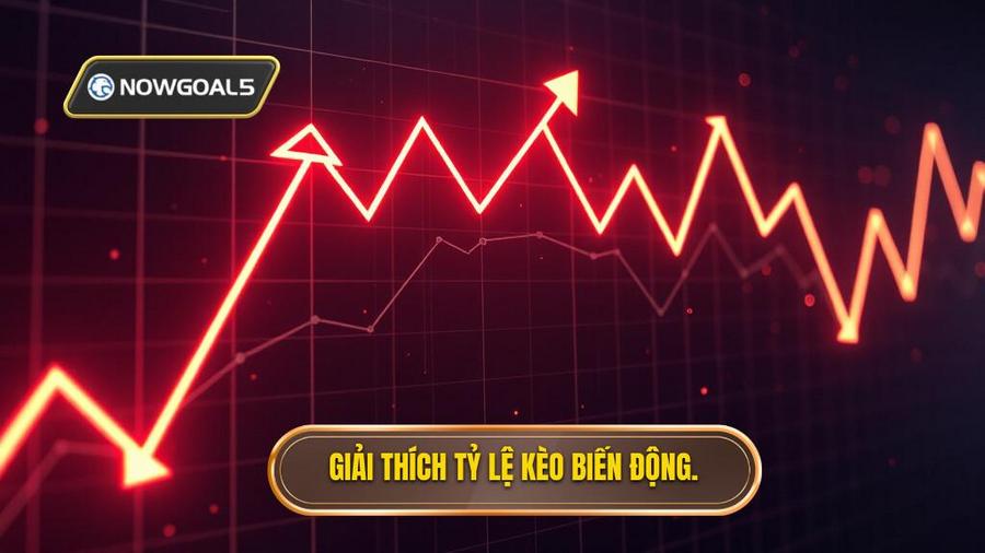 Tỷ lệ kèo biến động là gì? Hiểu đúng bản chất vấn đề