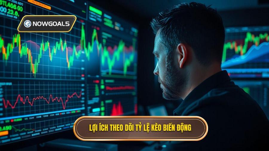 Tại sao người chơi cần theo dõi tỷ lệ kèo biến động?